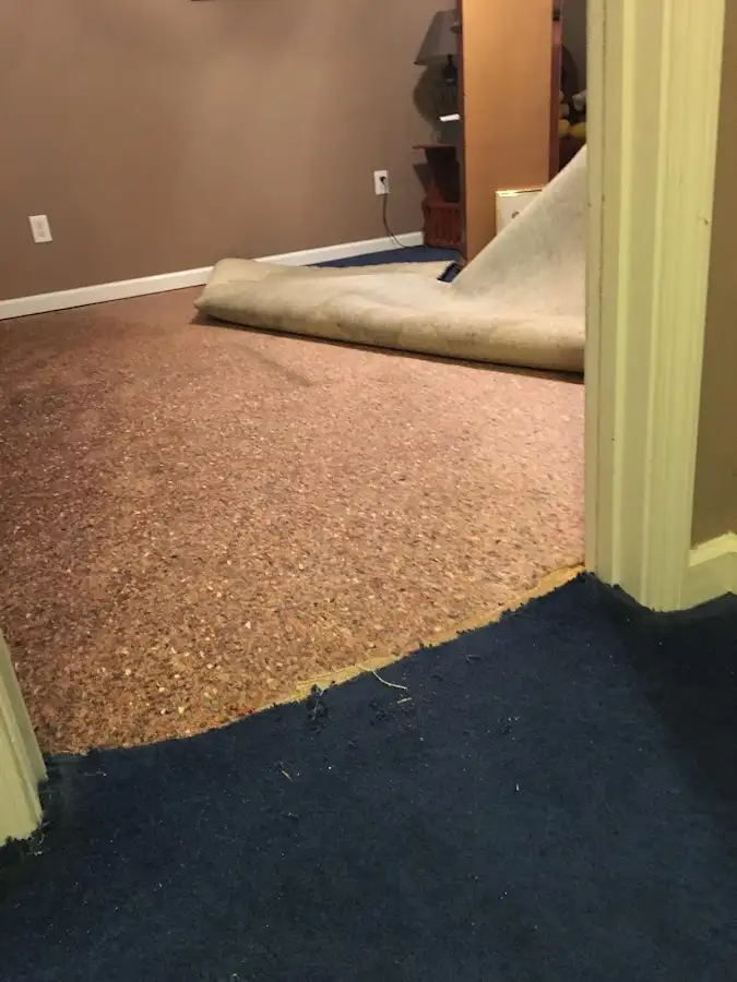 Carpet pad removal revealing water damage during Water Mitigation Services in Franconia