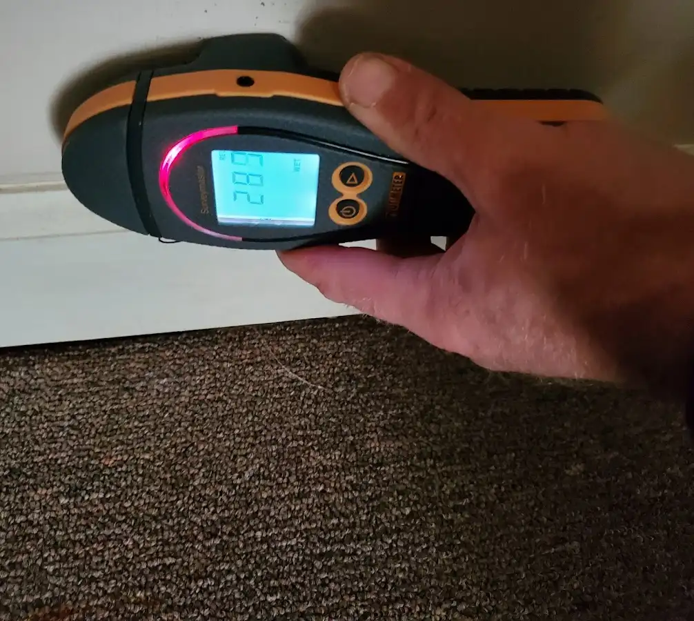 Moisture detection at baseboard during Mold Inspection & Testing in Franconia